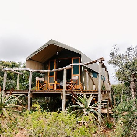 Woodbury Tented Camp - Amakhala Game Reserve Luaran gambar