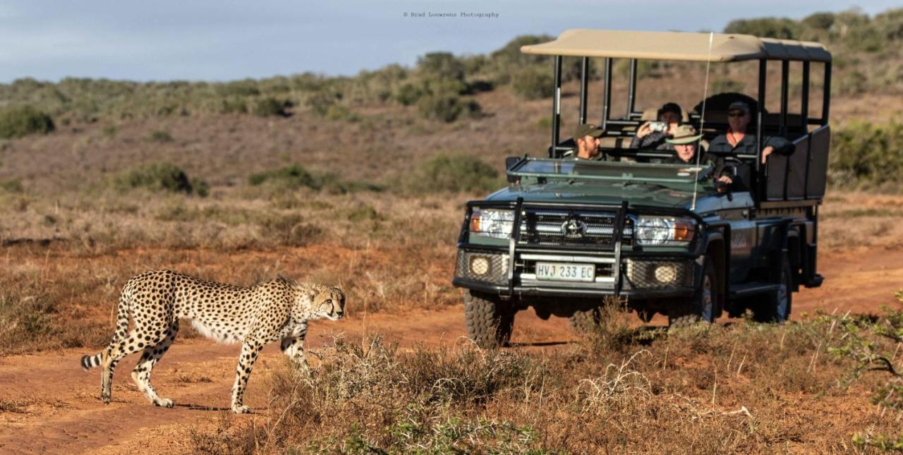 Woodbury Tented Camp - Amakhala Game Reserve Luaran gambar