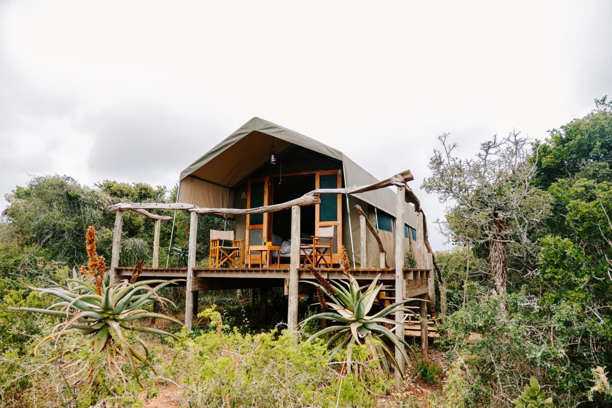 Woodbury Tented Camp - Amakhala Game Reserve Luaran gambar
