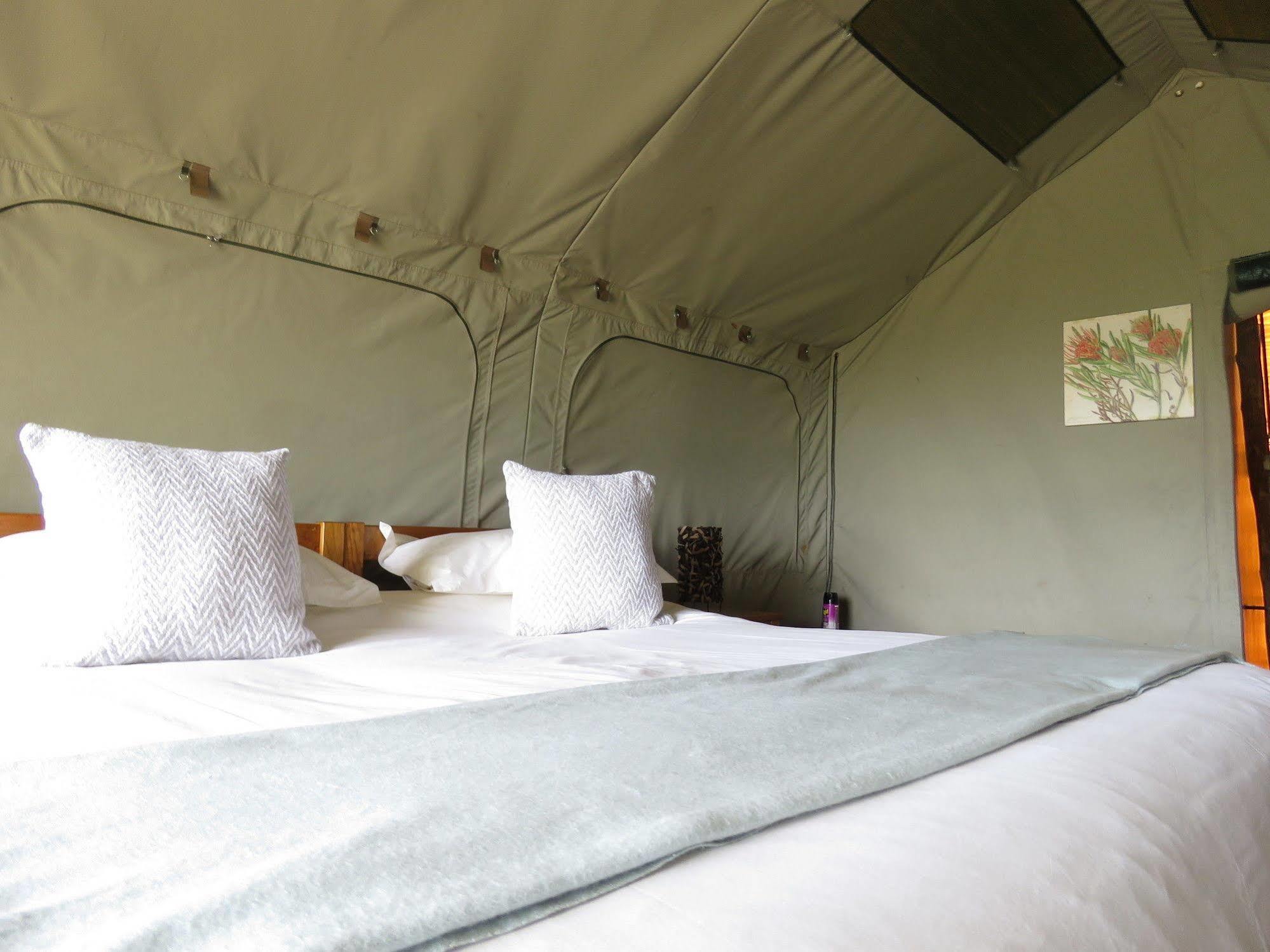 Woodbury Tented Camp - Amakhala Game Reserve Luaran gambar